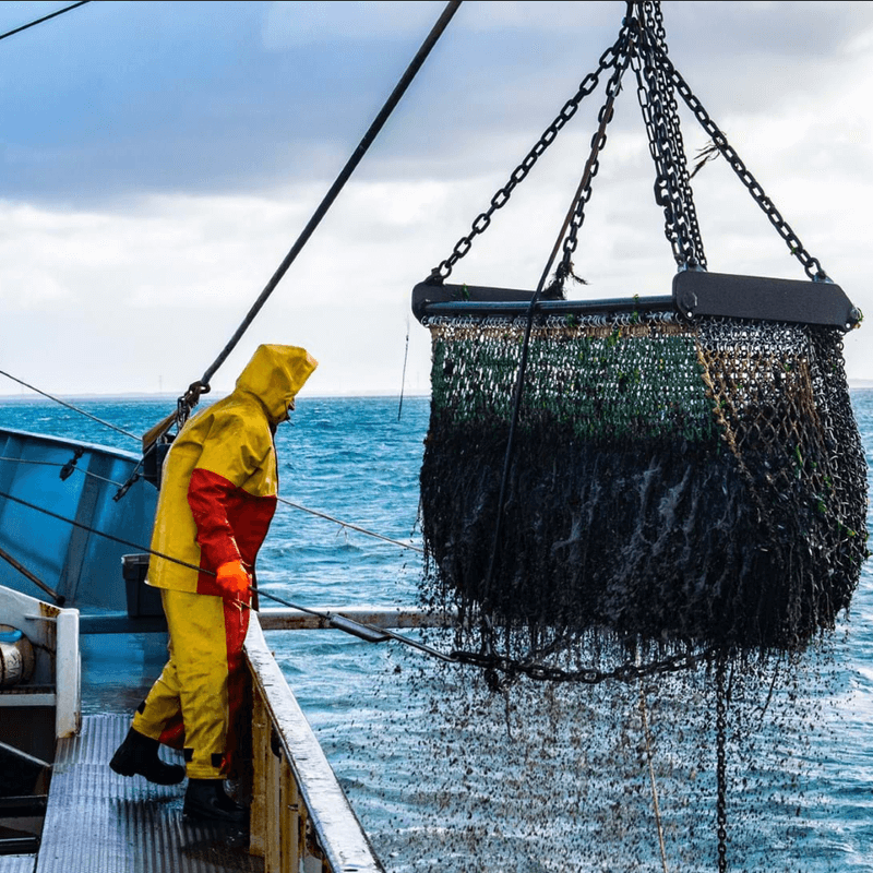 Duracordix - Your Trusted Supplier for High-Performance Synthetic Rope & Netting | Home